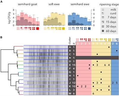 Diversity and Local Coadaptation of Escherichia coli and Coliphages From Small Ruminants